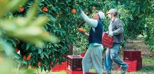 Ξέμειναν από εργάτες γης 